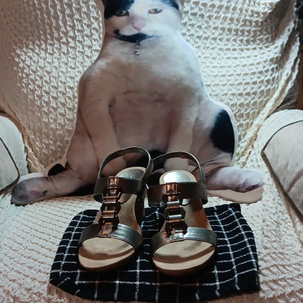 Anne klien heels